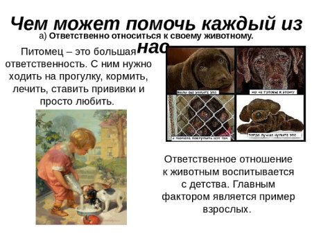 Ответственное отношение к животным
