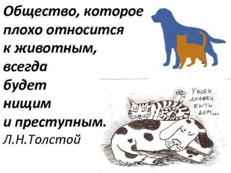 Люди хуже животных цитаты
