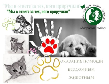 Листовка о защите животных