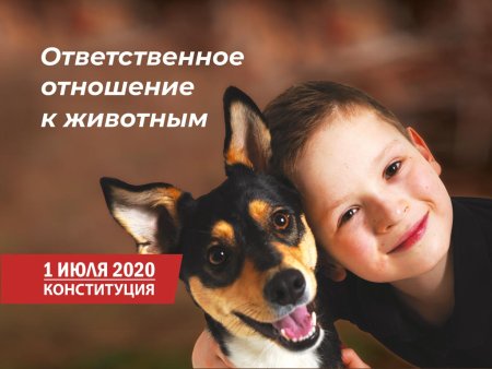 Отношение к питомцу