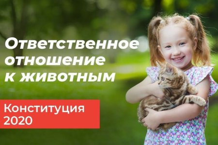 Ответственное отношение к животным