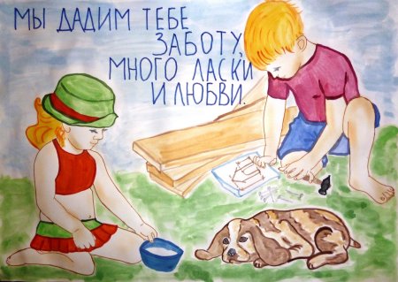 Бережное отношение к животным
