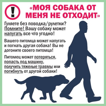 Ответственное отношение с животными