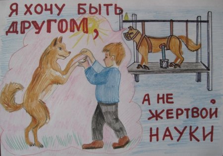 Рисунок на тему защита животных