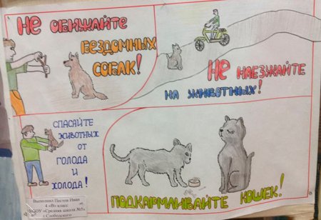 Плакаты в защиту бездомных животных