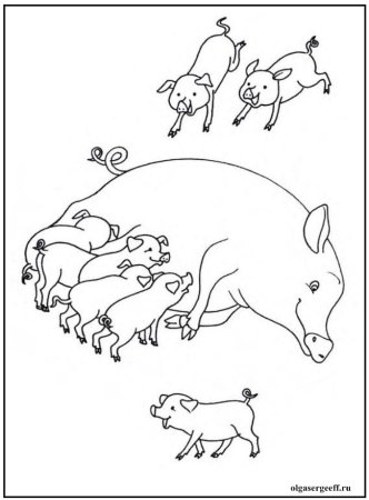 Домашние животные заботятся о потомстве