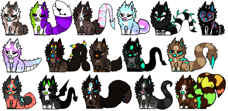 Окрасы персов