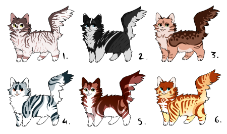 Коты Воители адопты