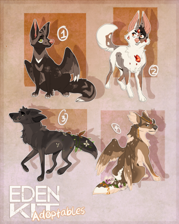 Адопт ми австралийская собака