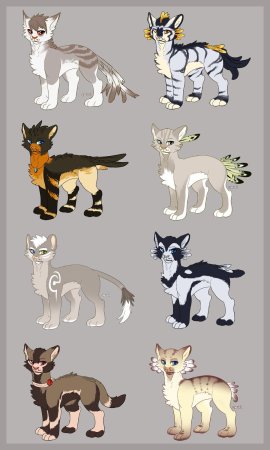 Референс персонажа ферал ферал