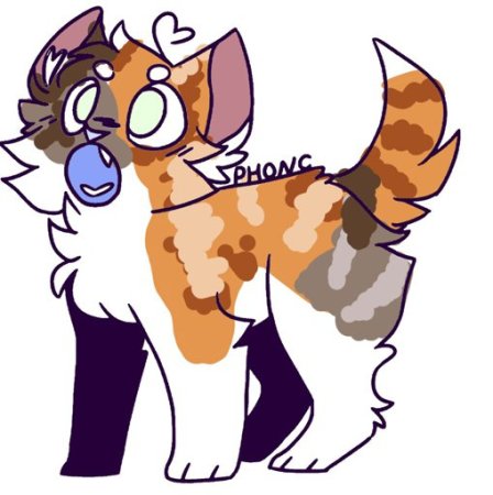 Астрокэт адопты