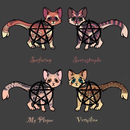 Коты Воители адопты