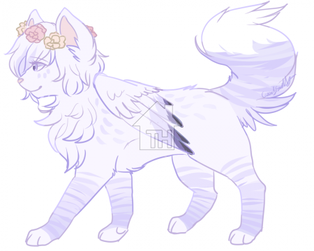 Коты Воители лайн с крыльями