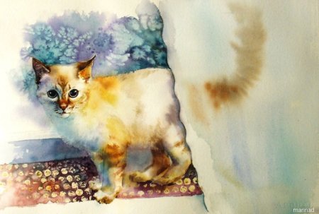 Коты акварелью по мокрому