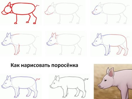 Как нарисовать поросенка