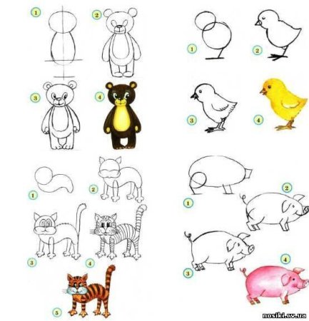 Рисование домашних животных