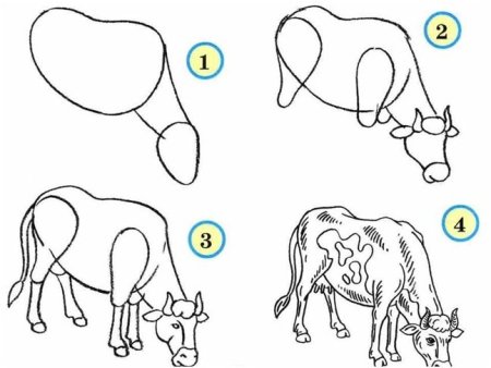Как нарисовать корову сбоку