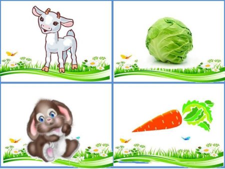 Кто чем питается картинки для детей