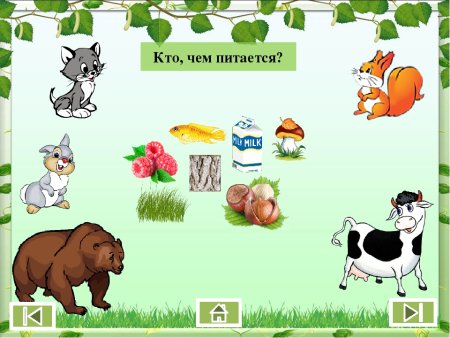 Кто чем питается
