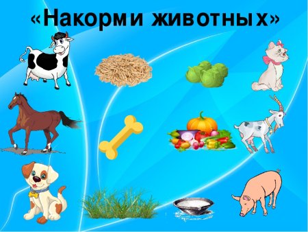 Игра кто что ест домашние животные