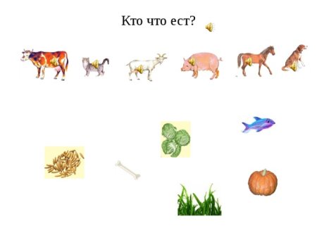 Кто что ест