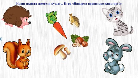 Кто чем питается дидактическая игра
