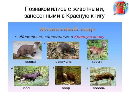 Животные Белгородской области занесенные в красную