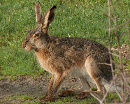 Заповедник Белогорье Борисовка