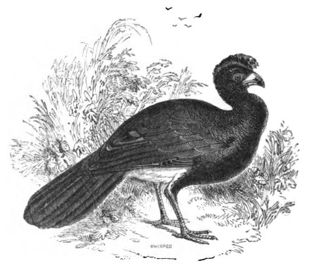 Заповедники Белгородской области