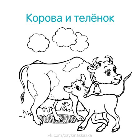 Домашние животные и их Детеныши раскраска