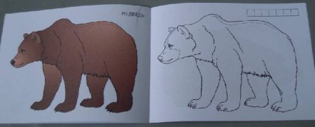 Медведь рисунок для детей
