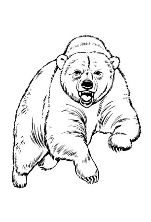 Медведь раскраска