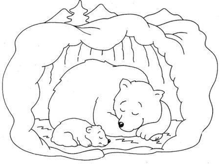 Контуры животных медведь