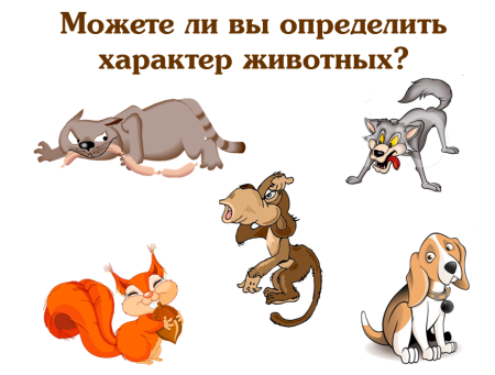 Характер животных