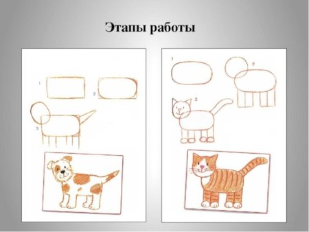 Эмоции животных в рисунках
