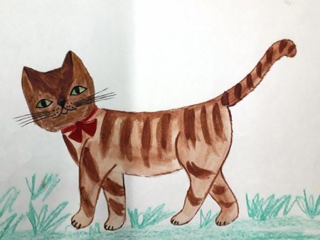 Рисунок характер животного