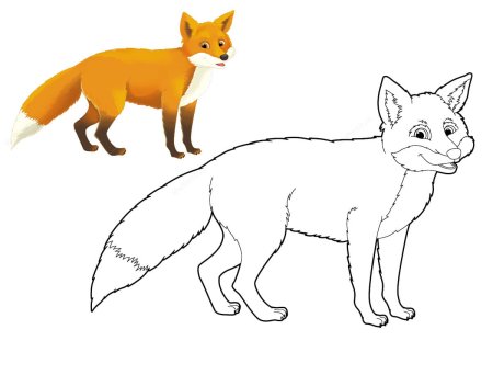 Лиса раскраска цветная