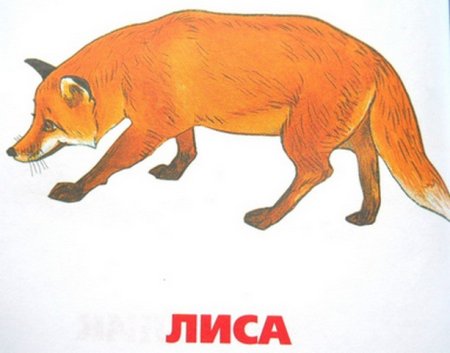 Лиса карточка для детей