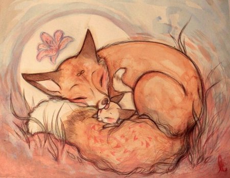 Лиса спит с лисятами