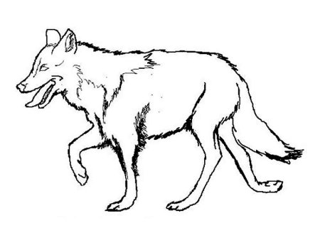 Волк раскраска для детей