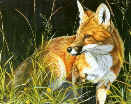 Картины зверей