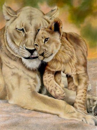 Мама и дочка животные