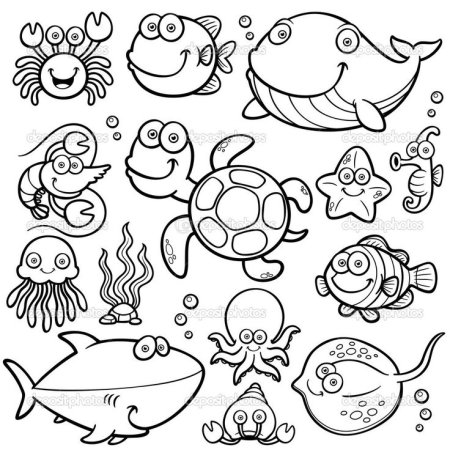 Морские жители раскраска для детей