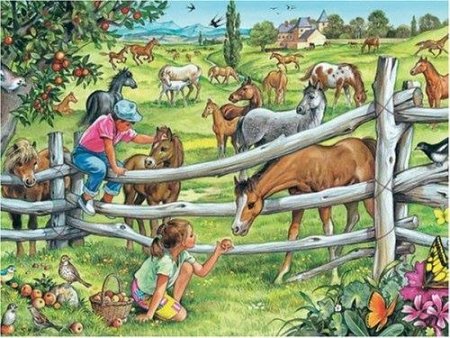 Изображения загона для животных