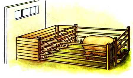 Свинарник для детей