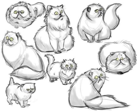 Животные в мультяшном стиле