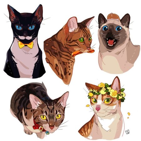 Коты Воители послание