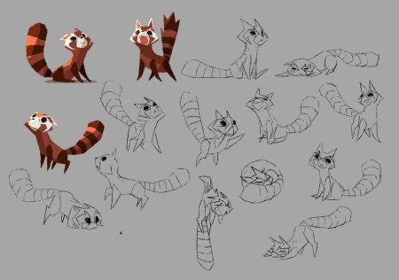 Красная Панда анатомия референс