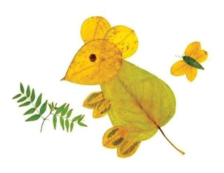 Фигуры из гербария