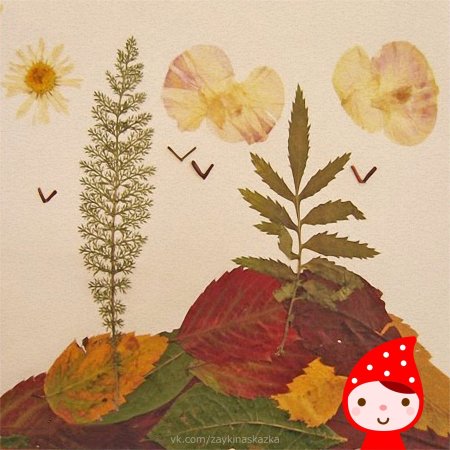 Гербарий из листьев